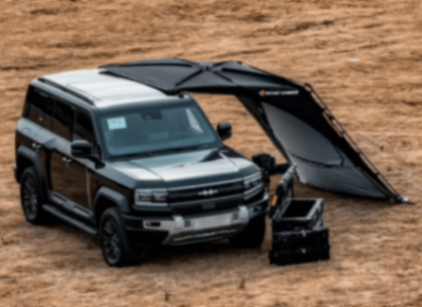 腹背受敵?無妨,那就海外再造一個比亞迪