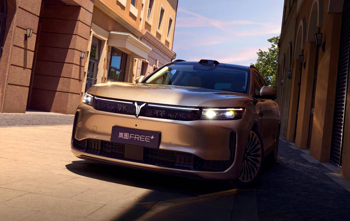 沒有多余定語!全國MPV銷量第一就是嵐圖夢想家