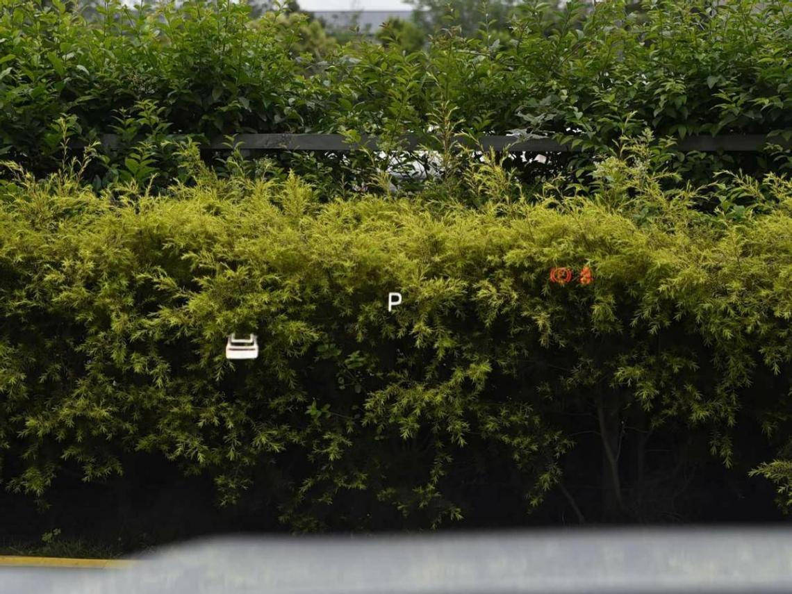 新秀挑戰(zhàn)老將,長(zhǎng)安啟源Q07對(duì)比宋PLUS DM-i,買新買舊?