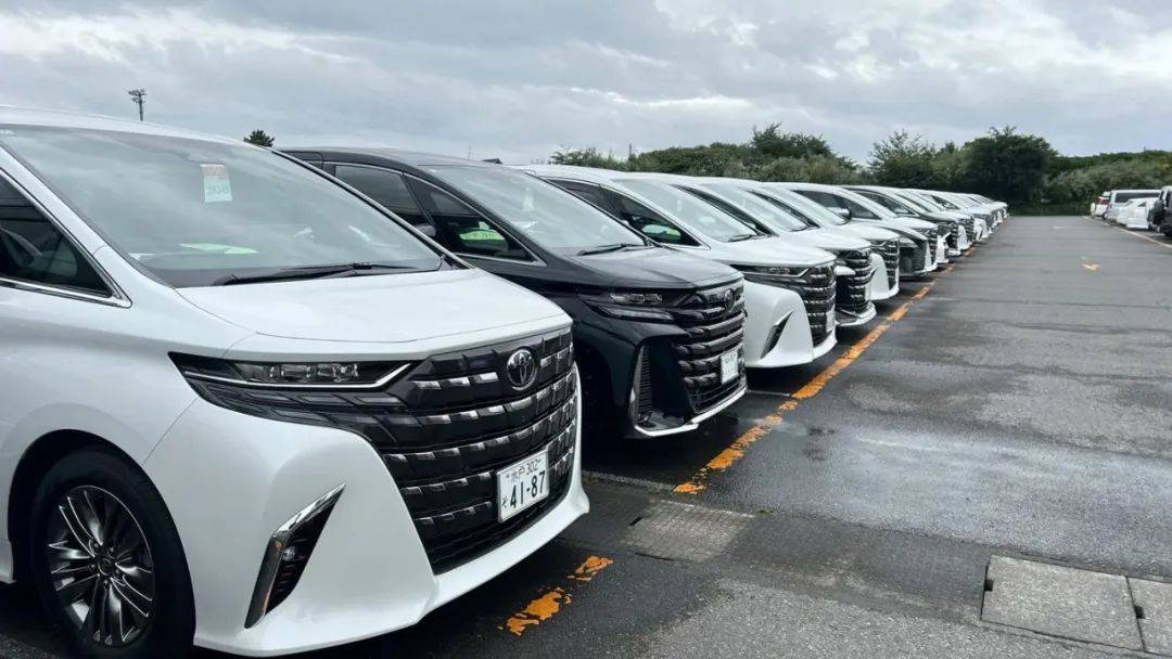 控制豐田埃爾法加價的幕后到底是誰