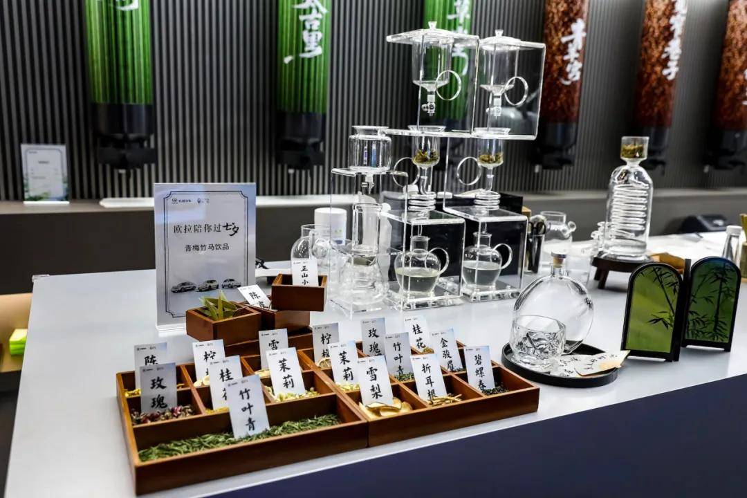 從52萬用戶到時代經典,歐拉的初心是陪伴