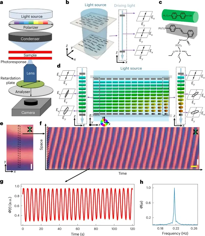 科學家打造出全球首個肉眼可見“時間晶體”