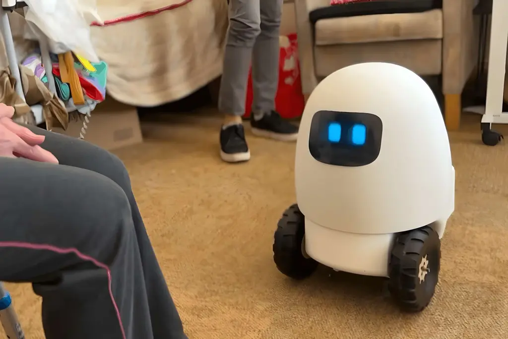 18歲女孩做養(yǎng)老機器人,上線2天賣爆了