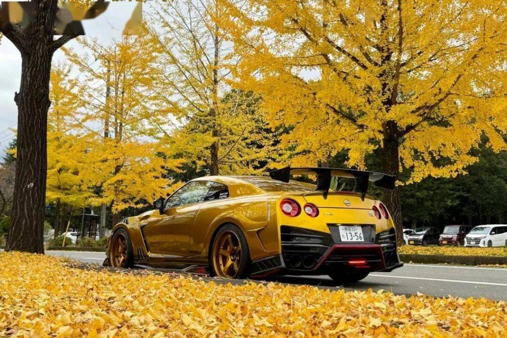 INNO的這款Top Secret R35,不經意買到的香港車仔展限定,成海景了!