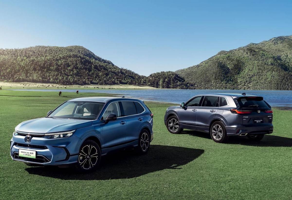 不必羨慕\"別人家的孩子\"!皓影用全能實力證明什么是\"六邊形戰士\"