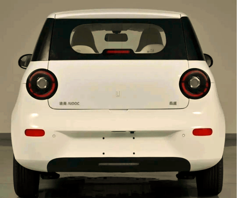 五菱新能源“借腹”河南森源,弱弱聯(lián)合“埃尚”前景難料