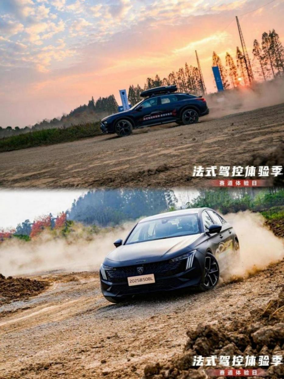 馳騁賽道 感受法式駕趣 神龍汽車賽道體驗日完美落幕