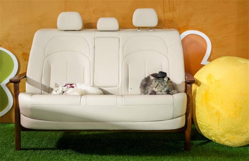 合資B級(jí)車降到9萬,日產(chǎn)N6除了大沙發(fā)還有啥?