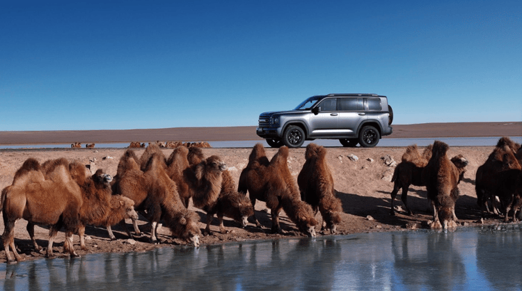 原廠雙油箱+三把鎖,二代哈弗H9穿越版23.29萬(wàn)起